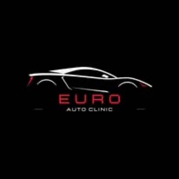 @euroautoclinicny Instagram profile picture